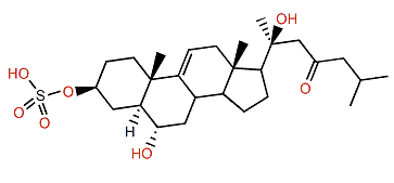 5a-Cholest-9(11)-en-3b,6a,20b-triol-23-one 3-sulfate
